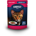   Candycat    