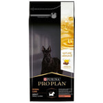   Pro Plan      , 
