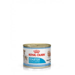   Royal canin STARTER MOUSSE ( )