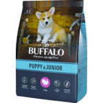   MR. BUFFALO PUPPY & JUNIOR  