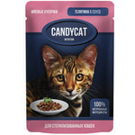   CANDYCAT   ,   