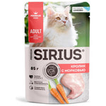 ������� ���� Sirius ������ � ��������