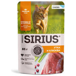 ������� ���� Sirius ���� � �������