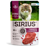 ������� ���� Sirius �������� � �������