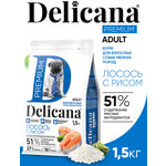 ����� ���� Delicana ���.�/����� ������ ����� ������ � �����