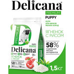 ����� ���� Delicana ���.�/������ ������ ����� ������� � �����