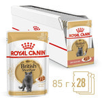   Royal Canin British Shorthair Adult ( )