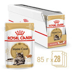   Royal Canin Maine Coon Adult ( )