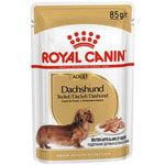   DACHSHUND ADULT ()