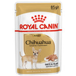   CHIHUAHUA ADULT ()